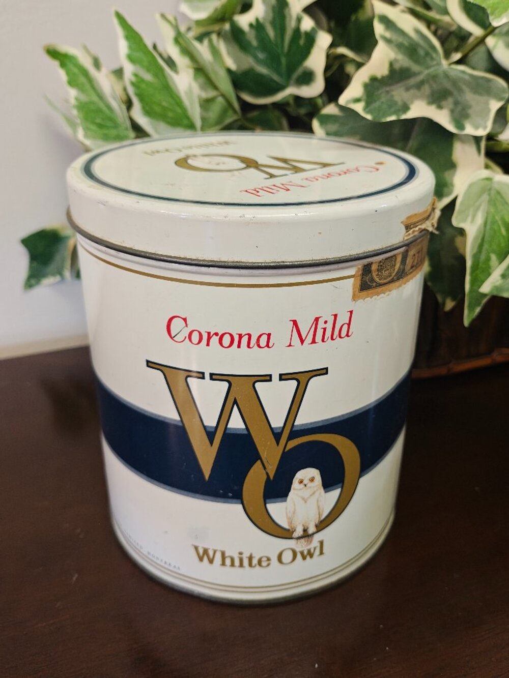 Vintage White Owl Corona Mild Cigar Tin Lithographed Metal Tobacco Canister RARE
